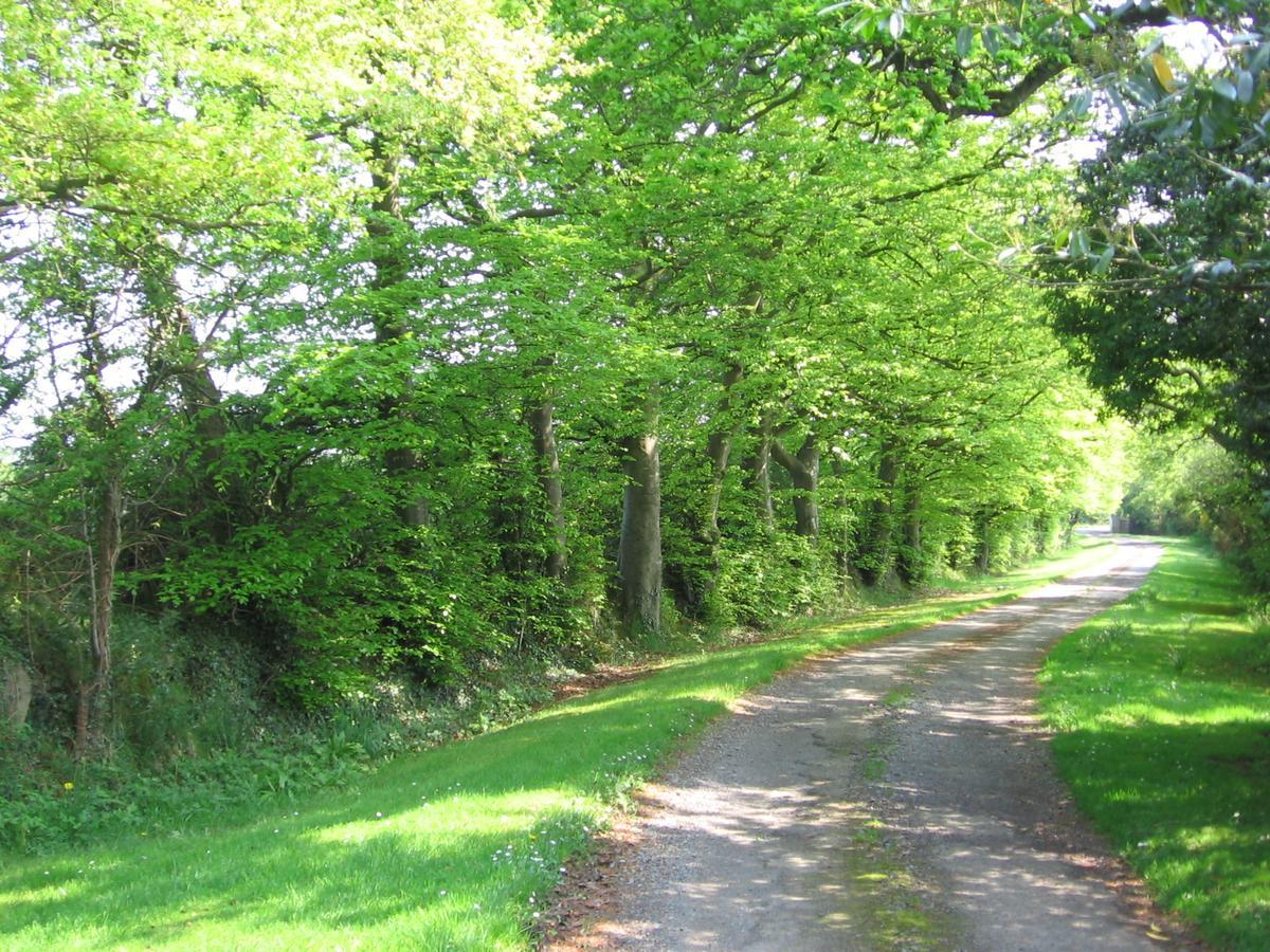 Ballinclea House Bed And Breakfast Brittas Bay 외부 사진